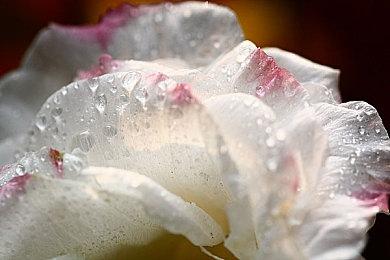 传闻：EA MOTIVE的《钢铁侠》游戏已经开始测试